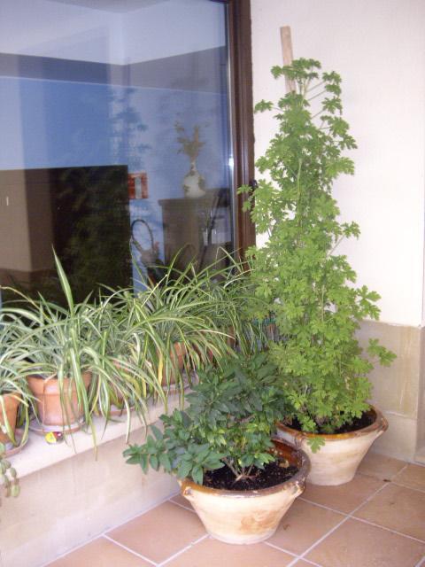 Casa Rural Rojanda Elciego Exterior foto
